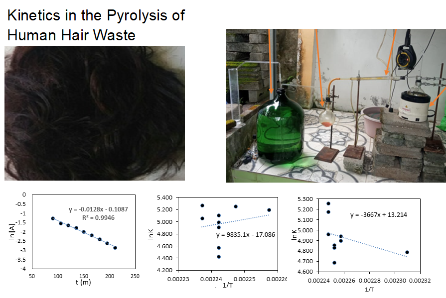 Kinetics in the Pyrolysis of Human Hair Waste 