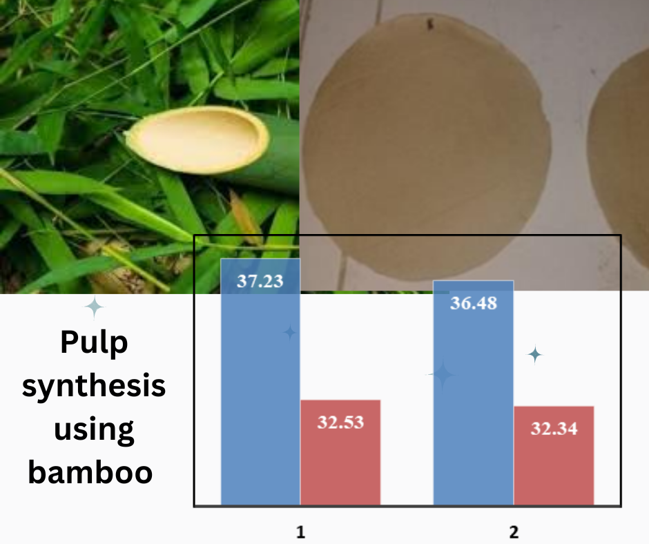 Pulp synthesis using bamboo 