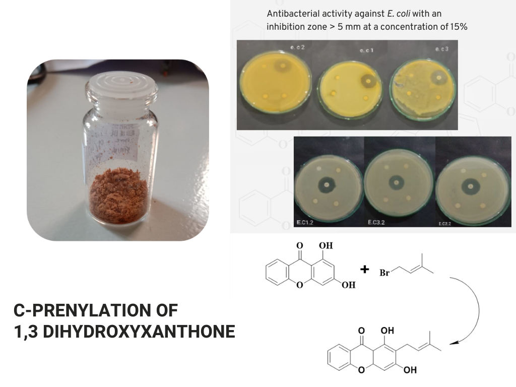C-Prenylation of 1,3 Dihydroxyxanthone