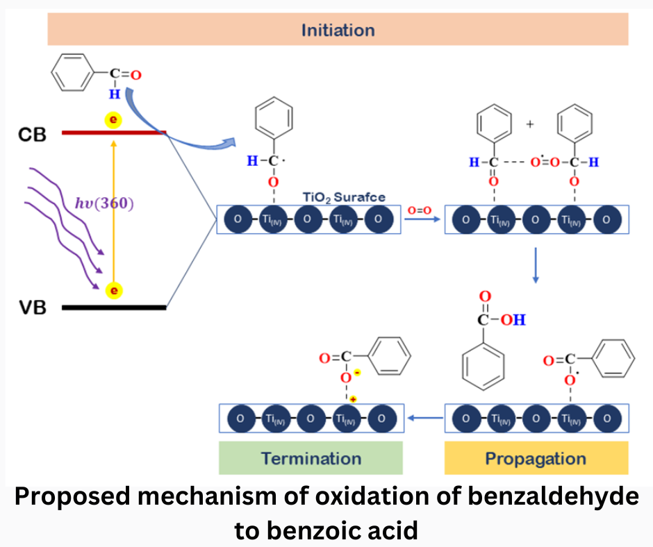 Proposed mechanism of oxidation of benzaldehyde to benzoic acid