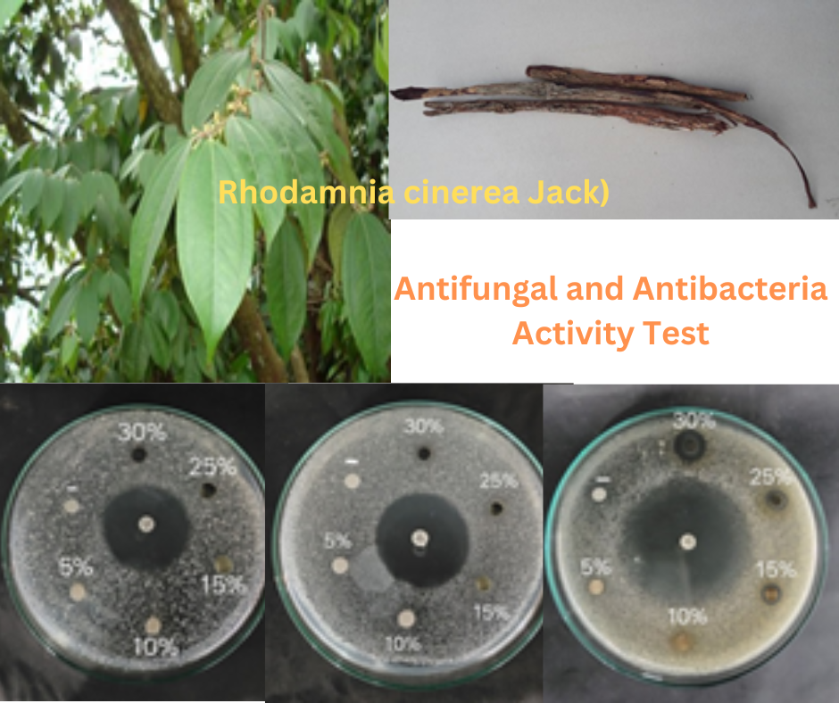 Antimicrobial of ethanolic extract from marpuyan stem bark (Rhodamnia cinerea Jack)