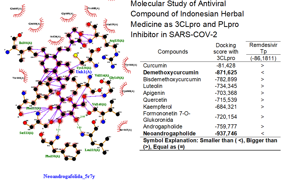Molecular Study of Antiviral Compound of Indonesian Herbal Medicine 