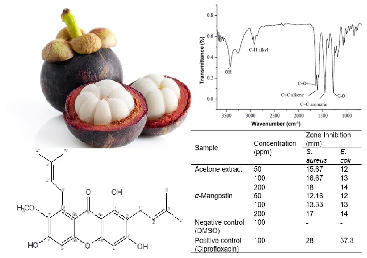Antibacterial Test and Isolation of Xanthones from Pericarps Mangosteen 