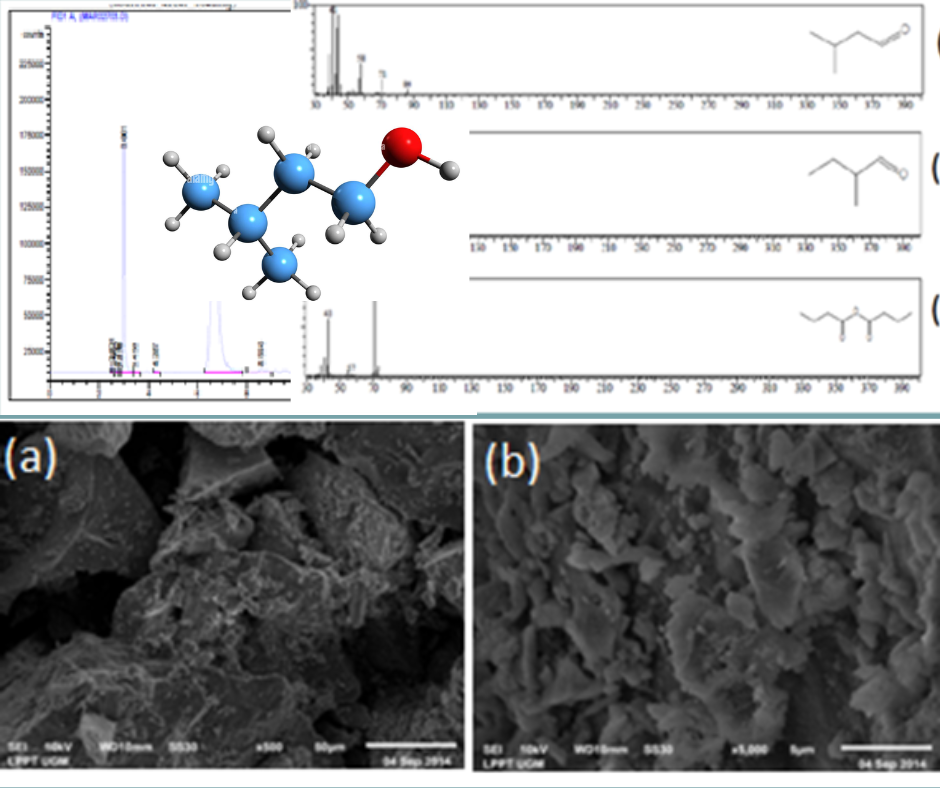 Investigating Pt/Pumice catalyst for efficient 3-methyl-1-butanol conversion