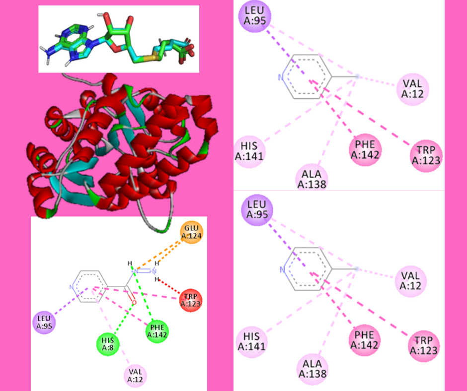 Molecular docking study of modified isoniazid compounds on mycolic acid synthase 