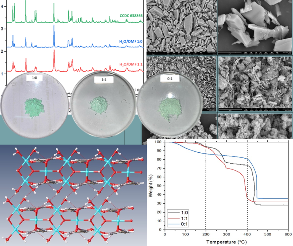 Effect of solvent in the solvothermal synthesis of nickel(II)-terephthalate complex