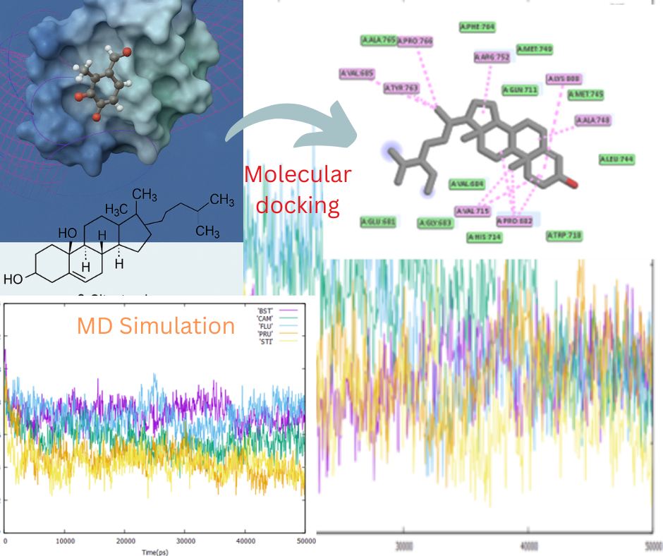 Screening, molecular docking and dynamic simulations of bioactive compounds from Prunus africana’s stem bark for potential prostate cancer inhibitors