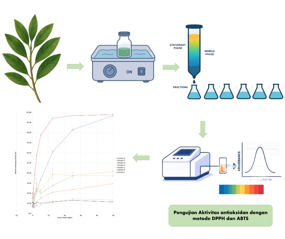 Gravity column chromatography of n-hexane fraction of Rhizophora mucronata leaves from West Nusa Tenggara and their antioxidant activity