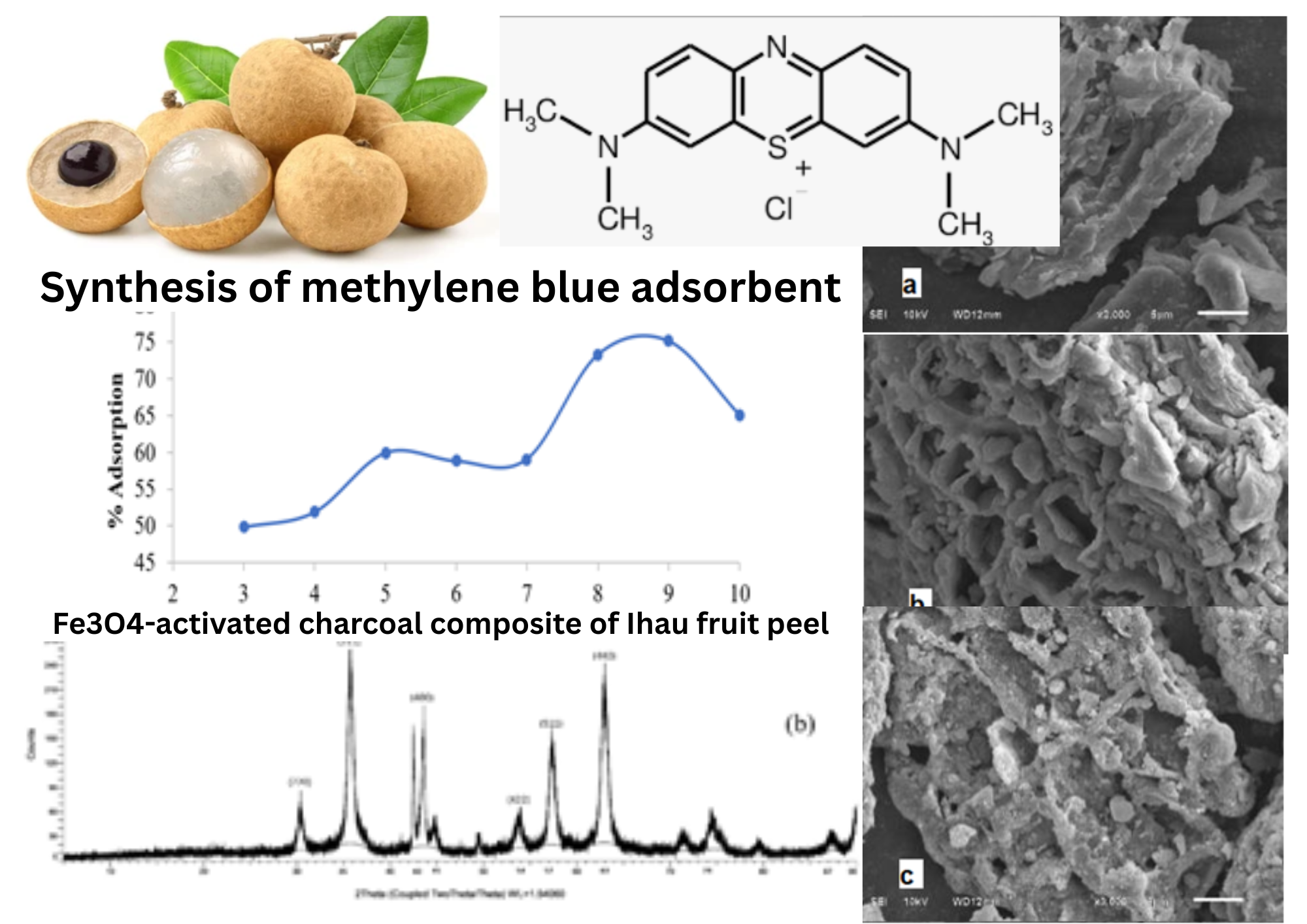 Synthesis and characterization of Fe3O4-activated charcoal composite of Ihau fruit peel (Dimocarpus longan var. malesianus Leenh.) as methylene blue adsorbent