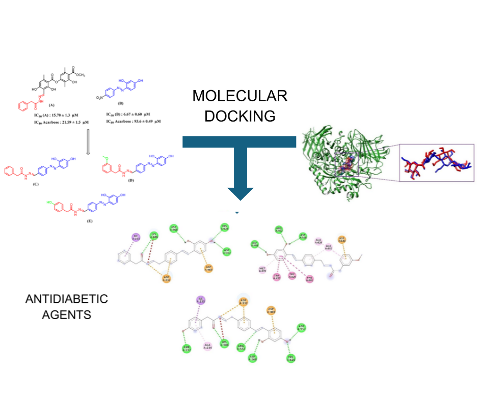  In silico screening of azo acetohydrazide derivatives as potential antidiabetic agents through alpha glucosidase inhibition